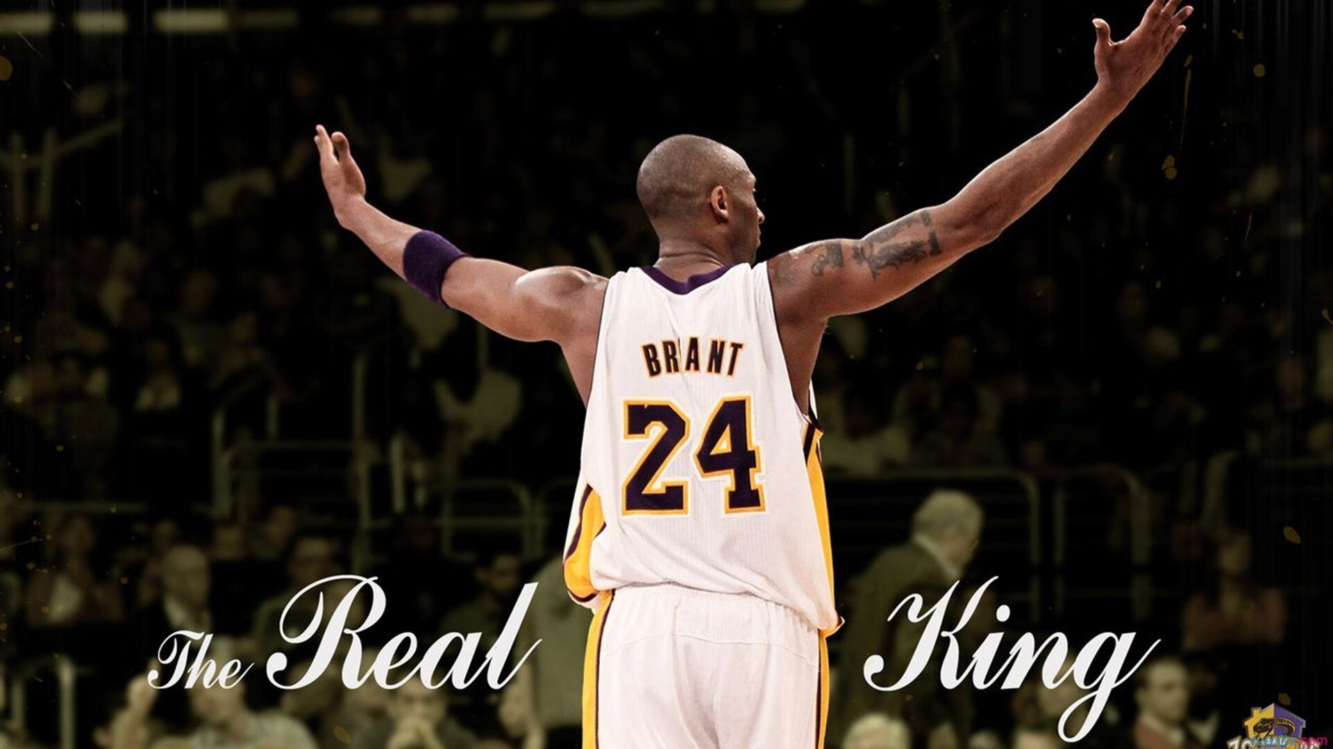 《英雄联盟》青训营:电竞新星的摇篮与残酷竞争,英雄联盟 青训